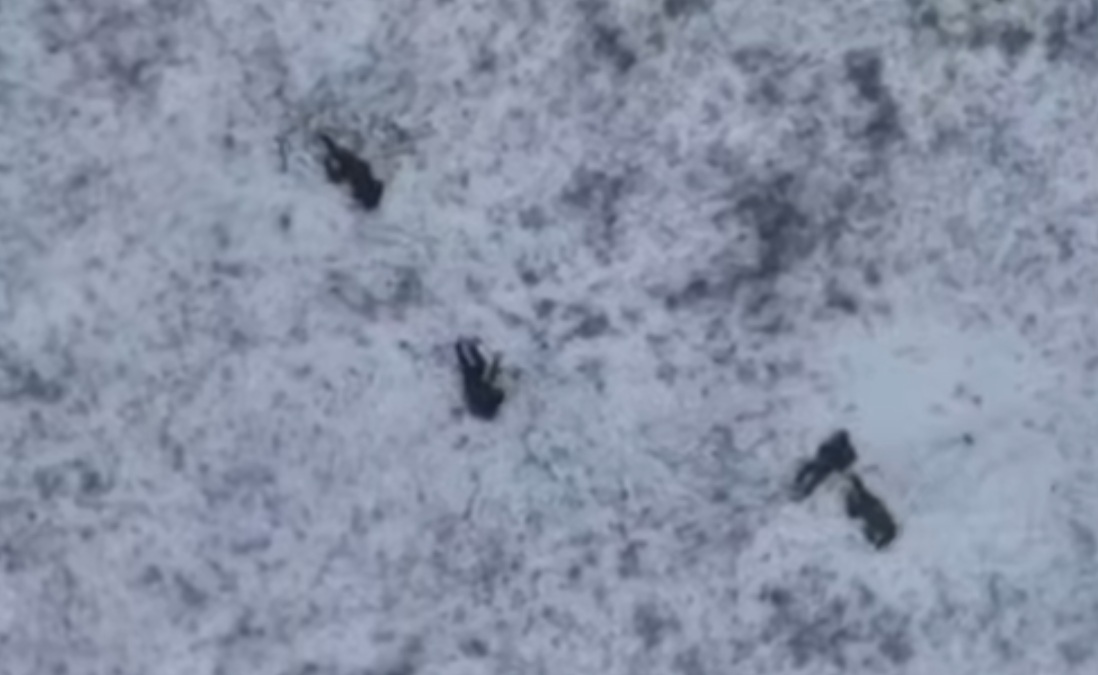 Struggle Over Initiative: Russian Assaults And Ukrainian Counterattacks In Huliaipole