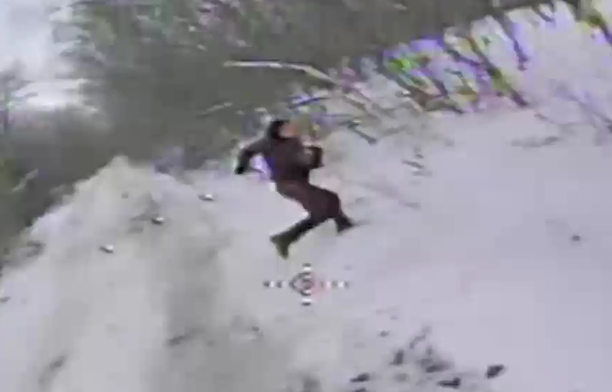 Russian Army Deals Another Blow To Ukraine With The Capture Of Starytsia In Kharkiv (Videos)