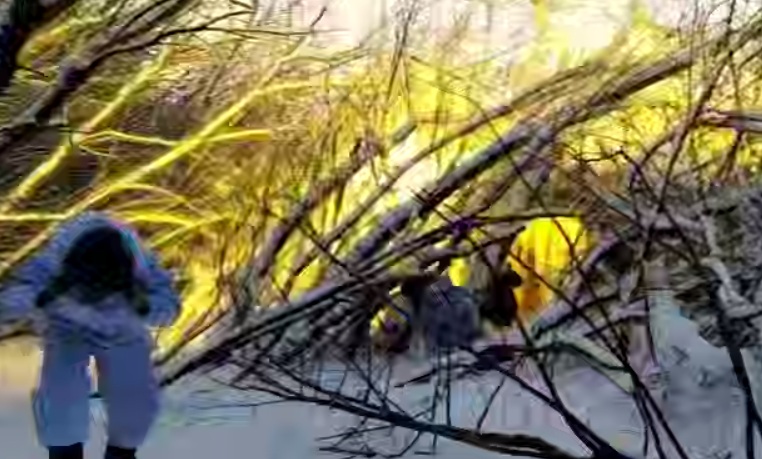 Forests Burning Near Starytsia: How Russian Troops Are Pushing Ukrainian Units Out Of Their Lines In Kharkiv