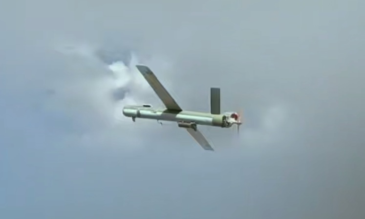 Hezbollah Fire Killed Two Israeli Soldiers, Iranian Commanders Assassinated In Lebanon (Videos)