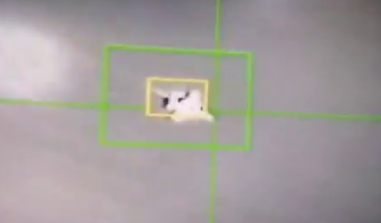 Iran Claims To Have Shot Down ‘Enemy Fighter Jet’ Over Persian Gulf (Video)